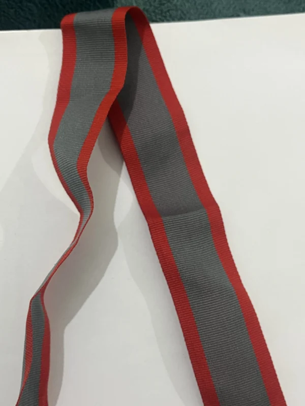 SPECIAL SERVICE MEDAL RIBBIOM - Image 2